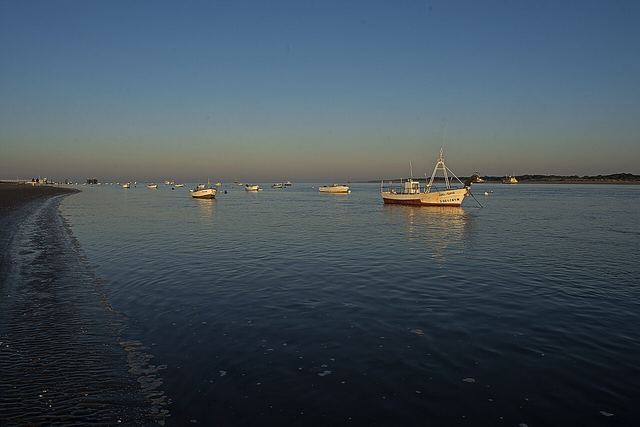 Bajo de Guía, en Sanlúcar, frente a la orilla de Doñana